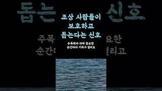 조상 사람들이 보호하고 돕는다는 신호 / 마음이 힘든 어른들에게 전하는 / ‘이것’만 알아도 인생이 바뀝니다 / 늙을수록 진짜 중요한 이유 조언 철학 삶의 지혜 인생명언 오디오북