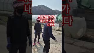 죽을 각오로 지켜낸 재산#경상북도 #의성군 #의성산불 #최유철 의성 사랑 #119#단촌장림