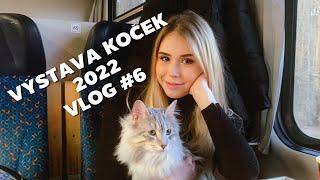 VLOG #6 Výstava koček 2022 - České Budějovice