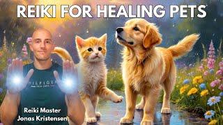 Reiki for Healing Pets | Energy Healing