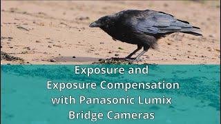 Exposure and Exposure Compensation in Panasonic Bridge Cameras