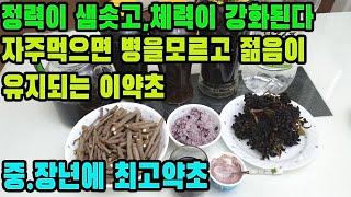 오가피열매―나무인삼 혹은 하늘이 내린 선약! 삼중에 으뜸, 이 열매를 자주 먹으면 병을 모르고 쉽게 늙지 않는다