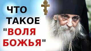 ️ ЧТО ТАКОЕ "ВОЛЯ БОЖЬЯ" ?