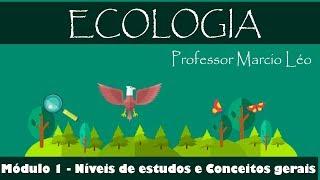 CURSO ON-LINE DE ECOLOGIA - MÓDULO 1: NÍVEIS DE ESTUDOS E CONCEITOS GERAIS