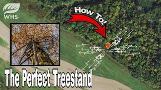 The Perfect Treestand Setup For Bowhunting Whitetails