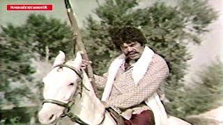 SULTAN RAHI BANYA JATT MUSTAFA QURESHI BANYA DOGAR - ACTION FILM CLIP