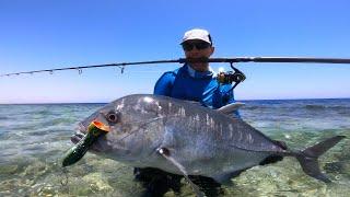 Casting the lure, fighting hard, and landing that perfect catch 