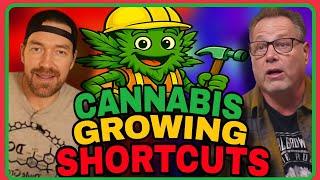 Faster Harvests Start Here: Time-Saving Cannabis Tips