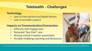 Virtual Healthcare for People with Developmental Disabilities