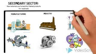 Economic Sectors