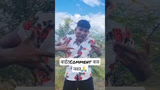 suraj chavan #shorts #goligat #trending #viral