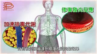 PP石墨烯塑崩褲 | 石墨烯黑科技原理