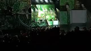 more gojira