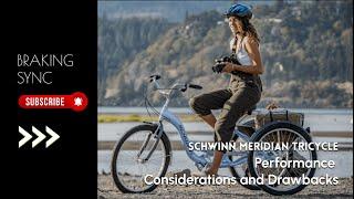 Schwinn Meridian Tricycle: Performance Considerations and Drawbacks #amazon #review