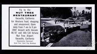 GRAVE TIME [#51] - THE NUT TREE & THE GREAT SCARECROW PUMPKIN PATCH