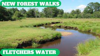 NEW FOREST WALK ALONG THE ENTIRE COURSE OF THE RIVER THAT ENDS AS FLETCHERS WATER (4K)