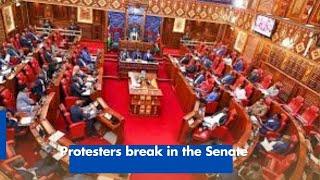 Protesters break in the Senate