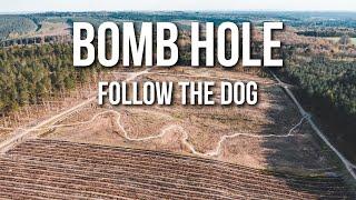 Bomb Hole on Follow the Dog, Cannock Chase