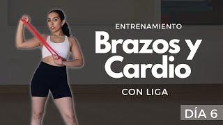 ARDE tus brazos con esta rutina// CARDIO + ARMS 20 min - día 6