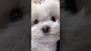 병원 대기꿍