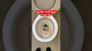 The Dirtiest Toilet Bowl I Have Ever Cleaned