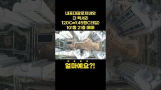 내포신도시 대광로제비앙|120㎡ 45평C타입 매매|내포아파트는 무조건 센트럴 아시죠?! ^^ #내포중흥s클래스 #내포반도유보라 #내포모아미래도2차 #내포아파트상가임대