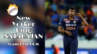 Yorker King Natarajan ( #IndvsAus) - Scam Whatsapp Status || Short Creations