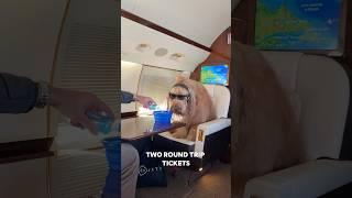 How my dog flies around the world! ️ #traveldog #dogtravel #goldendoodle #dogdad