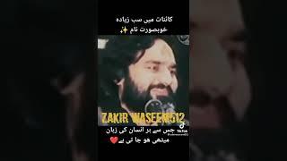 Zakir Waseem Abbas Baloch / Syed Mesum Ali Kazmi / live majlis / live majlis e aza / yadgar majlis/