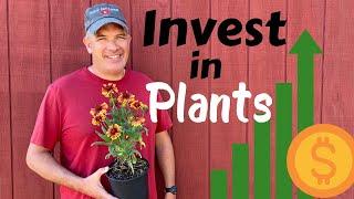 Investing in plants can put MONEY in your pockets!!