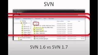 A practical guide to using SVN with 4D