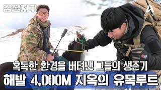 [예고] ＂제 자신이 너무 멋있는 것 같아요＂ 해발 4,000M 위에서 만난 세상에서 가장 강한 유목민 | 강철지구 6 회