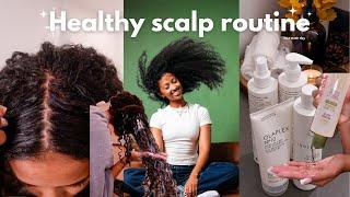 Wash routine to smell good ALL DAY *ANY hair type* | Hair hygiene tips & how to wash hair properly |