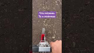 Сеем сеем посеваем #seeds #EarthWay #ручнаясеялка #саженцы #питомник