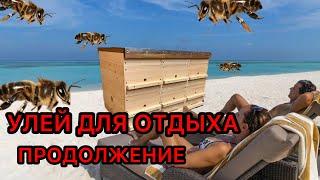 УЛЕЙ ДЛЯ ОТДЫХА. ПРОДОЛЖЕНИЕ