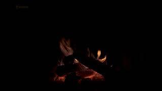 Night Fireplace with Crackling Fire Sounds Cozy Fireplace 4K. Dark Fireplace Noises Black Screen