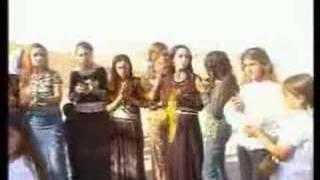 Shingal wedding 2