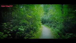 Moutainash Trail || Lush green trees ||Global Village RTF