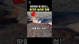 미친듯이 땅을 파더니…
