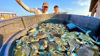 THE MOST AMAZING CRABBING I'VE EVER DONE! {Catch Clean Cook} Florida vs Georgia Crabs