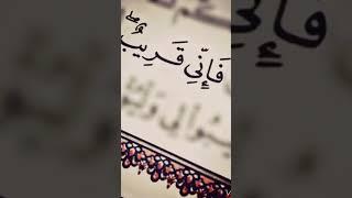 #فذكر بالقرآن #اشترك بالقناه ليصلك كل جديد #يوسف سليمان #surah