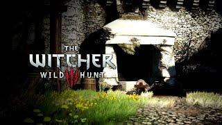 The Witcher 3: Wild Hunt 'How Green Was My Valley' [HD]