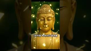 검소한 생활습관의 중요성 #부처님말씀 #생활습관 #불교 #말씀 #좋은글
