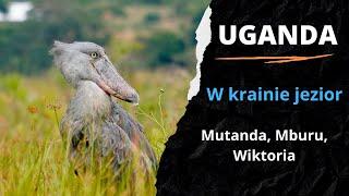 3️⃣ UGANDA  - Safari w krainie jezior.