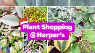 Plant Shopping @ Harper’s | Hoya, Monstera & More! Vlogmas # 10