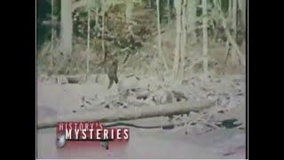 History's Mysteries  - Bigfoot and Other Monsters