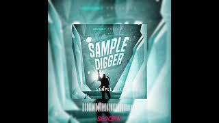 [SAMPLE PACK #16] Sample Digger by 2BEATS24-7 | SLOOPLY.COM