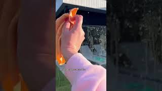Fastest way to clean your glass pool fence