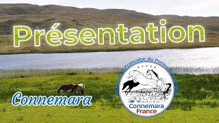 Guide du présentateur (partie 4) : Présentation du poney Connemara