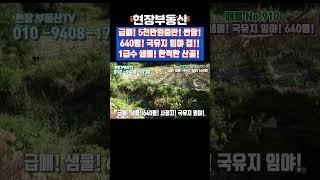 시골 전원주택 급매 평당8만원대 640평 1급수 샘물 접 국유지 임야 #급매 #부동산 #시골 #하천 #싼땅 #주말농장 #자연인 #유암리